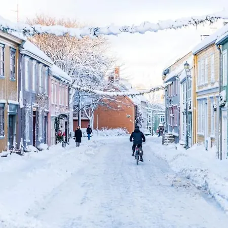 Appartamento Beautiful And For Rent During Wc 2025 Trondheim